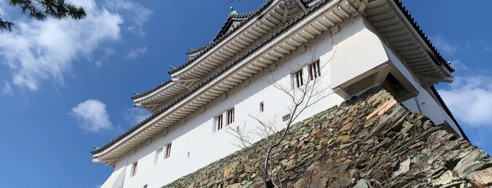 Wakayama Castle is one of 和歌山の観光地.