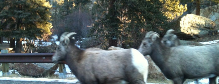 Estes Park Museum is one of Posti che sono piaciuti a Lori.