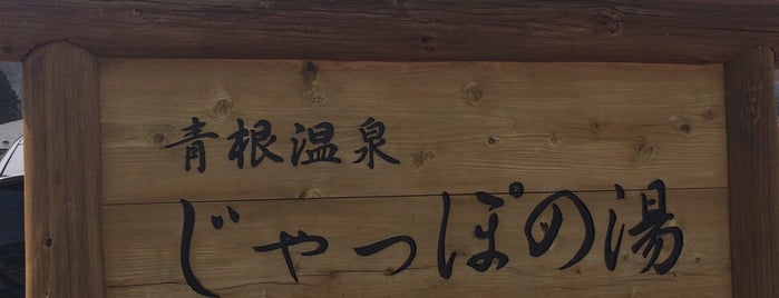 青根温泉 じゃっぽの湯 is one of 温泉.