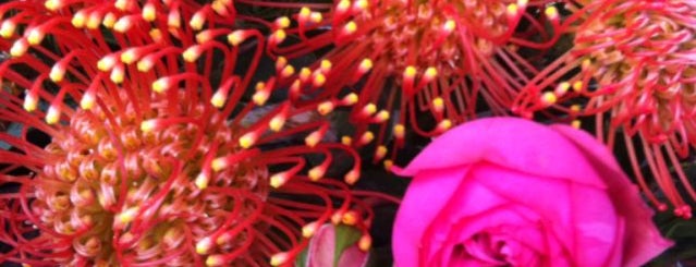 Petalos Floral Design is one of Posti che sono piaciuti a Nate.