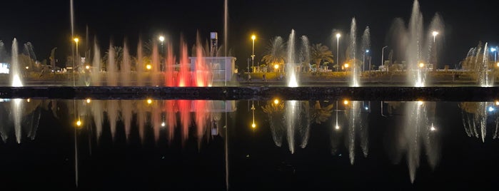 Dancing Fountains | მოცეკვავე შადრევანი is one of Batumi.