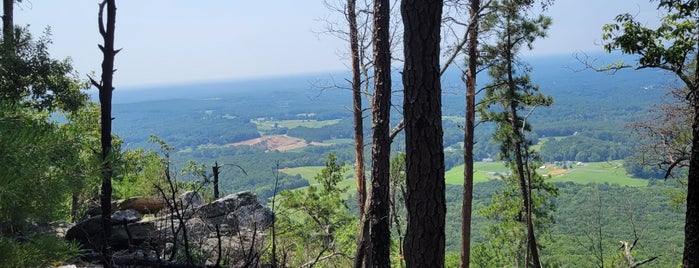 Pilot Mountain State Park is one of North Carolina.