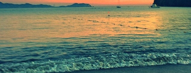 Best Spots in Manzanillo