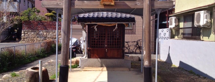 白山権現社 is one of 摂津国菟原郡の神社.