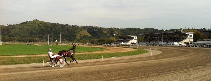 Ippodromo Agnano is one of สถานที่ที่บันทึกไว้ของ gibutino.