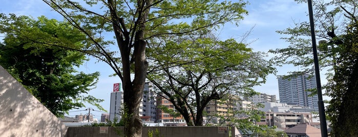 横浜市立 神奈川図書館 is one of 神奈川区のお散歩スポット.