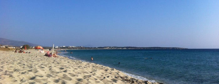 Kastraki Beach is one of Best beaches of the Cyclades.
