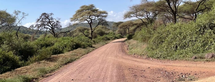 Lake Manyara National Park is one of Dade’s Liked Places.