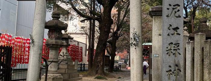 泥江縣神社 is one of 寺社.