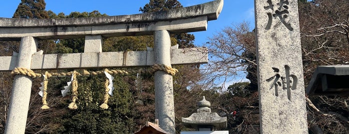 賀茂神社 is one of Kyoto2022.