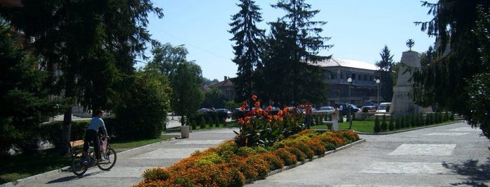 Knezha is one of Bulgarian Cities.