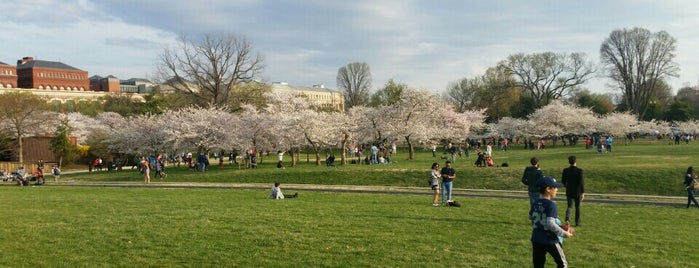 National Mall is one of Washington.