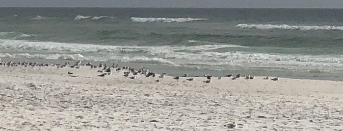 The Beach at the Crab Trap is one of Destin Eats.