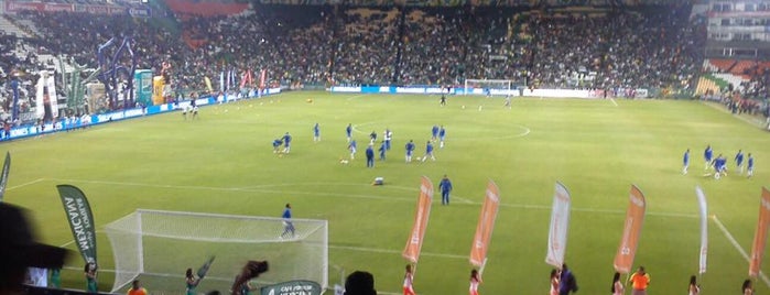Estadio León is one of สถานที่ที่ Poncho ถูกใจ.
