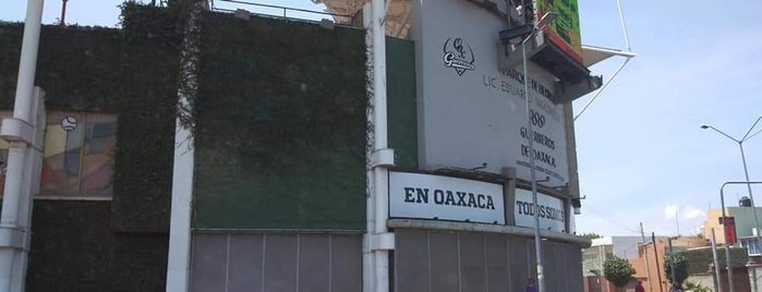 Estadio de Beisbol Eduardo Vasconcelos is one of Lieux qui ont plu à Poncho.