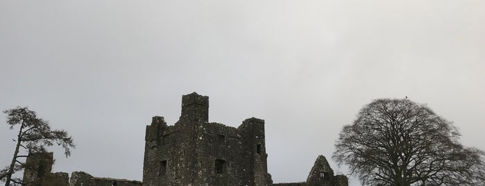 Bective Abbey is one of Fred : понравившиеся места.