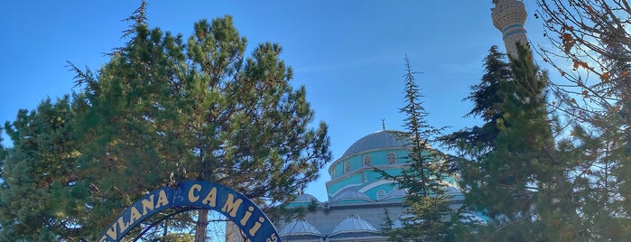 Cumhuriyet Mevlana Camii is one of Konya Selçuklu Mescit ve Camileri.