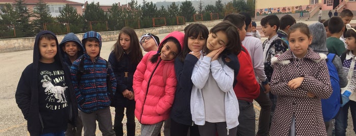 Vali Münir Raif Güney İlkokulu is one of Odunpazarı Anaokulu, İlk, Ortaokul ve Liseleri.