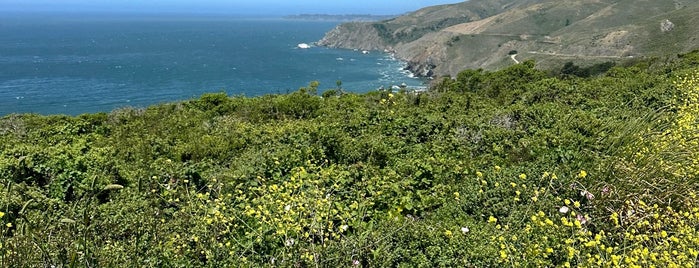 Matt Davis Trail is one of San Francisco see and do.