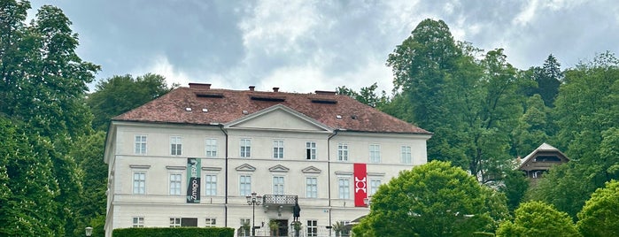 mglc International Centre of Graphic Arts is one of Ljubljana.
