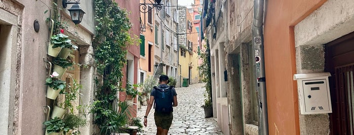 Rovinj is one of Faves - Global.