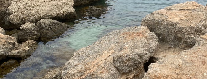 Spiaggetta Torre Pozzella is one of Puglia.