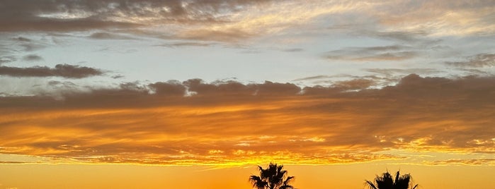 Roof Top Baja Club is one of La Paz.