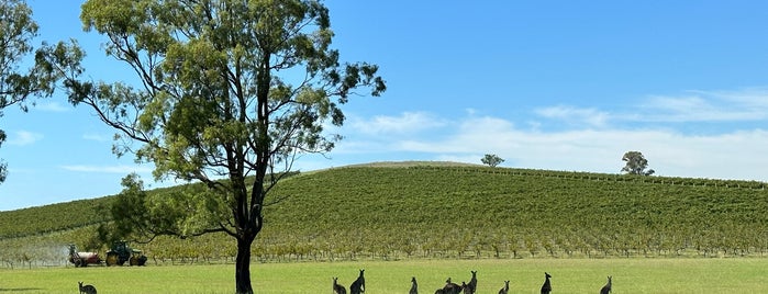 Hunter Valley is one of Australia.