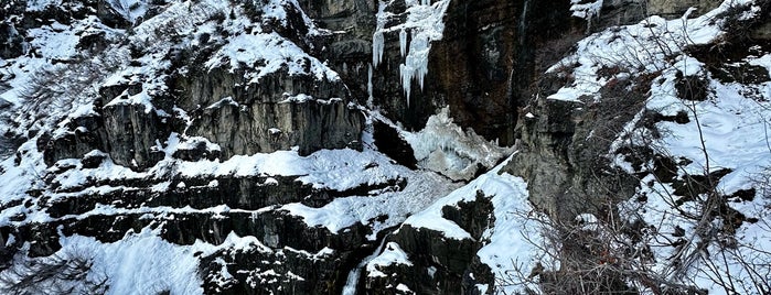 Stewart Falls is one of Utah.