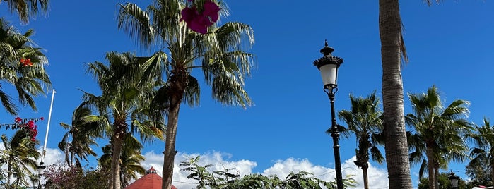 Plaza Civica is one of Todos Santos Favorite Places.