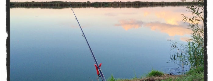 Fishing spots - Vojvodina
