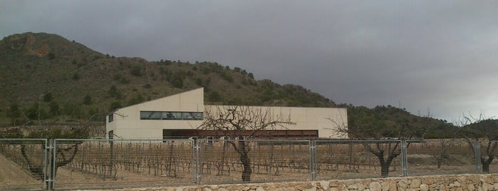 Bodegas Sierra Salinas is one of Wine World.