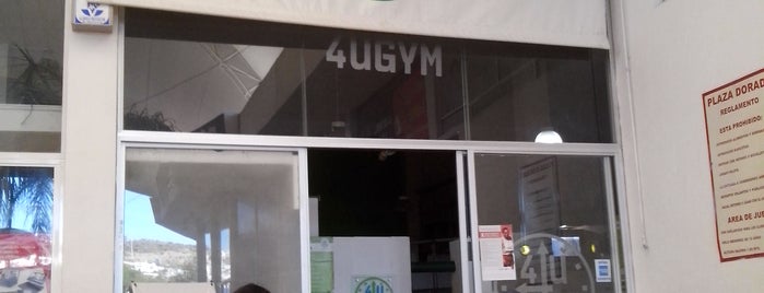4U GYM is one of สถานที่ที่ Febo ถูกใจ.