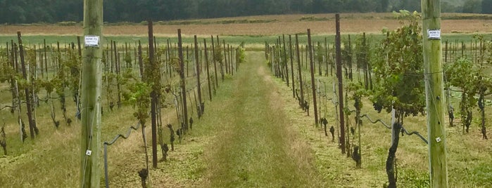 Villa Milagro Vineyards is one of New Jersey - 1.