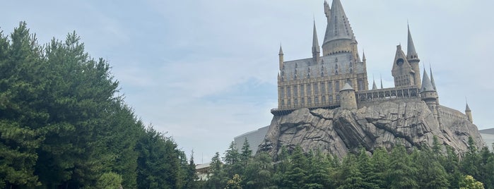 Hogwarts Castle is one of Fang : понравившиеся места.