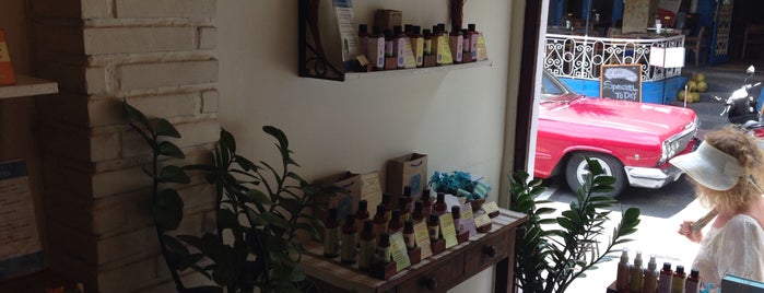Blue Stone Naturals is one of Ubud.