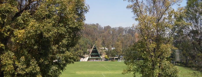 The Reforma Athletic Club is one of สถานที่ที่ Zyanya ถูกใจ.