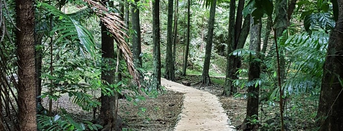 Welchman Hall Gully is one of Barbados.