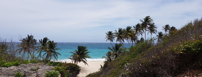 Bottom Bay is one of COL & CARI.