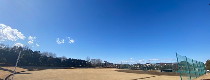 岩鼻運動公園 東松山陸上競技場 is one of 公園_埼玉県.