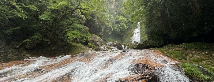 笹の滝 is one of All-time favorites in Japan.