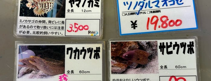 名東水園 リミックス みなと店 is one of 爬虫類.