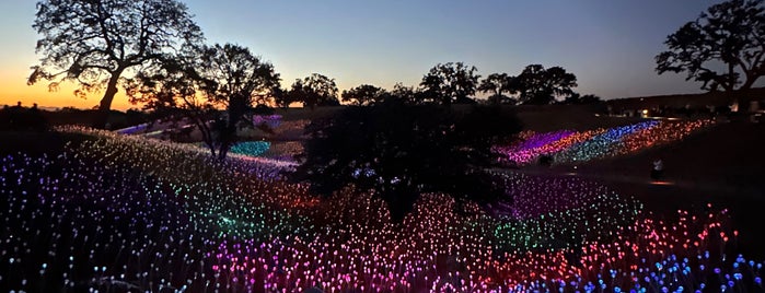 Field of Light is one of Paso Robles.