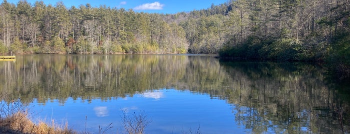 Dupont State Forest is one of Tennessee/NC.