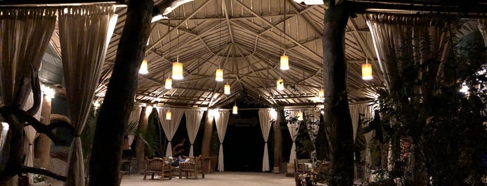 Kibo Safari Camp is one of Tempat yang Disukai Anton.