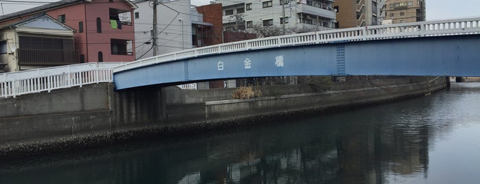 白金人道橋 is one of 橋.