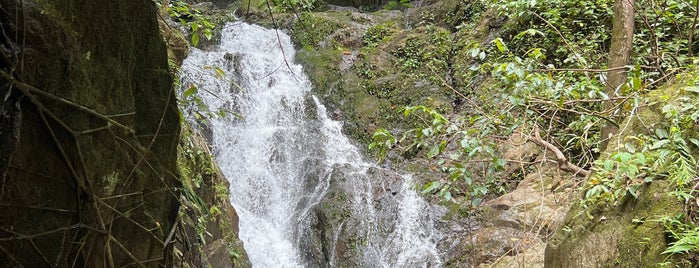 Ton Sai Waterfall is one of Phuket.