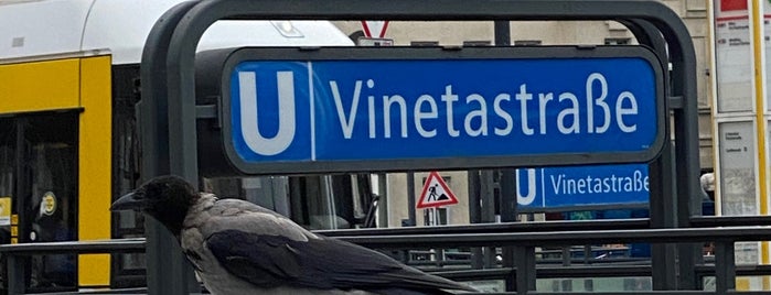 H U Vinetastraße is one of Berlin tram line 50.