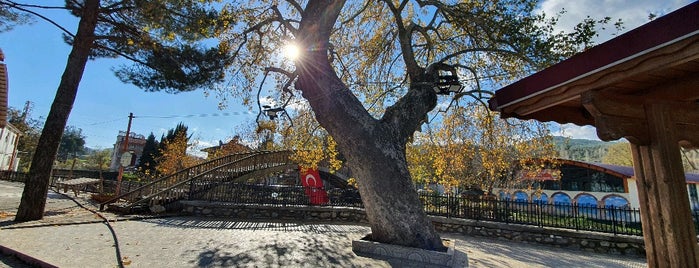 Çınaraltı Restaurant is one of Rookiye'nin Kaydettiği Mekanlar.