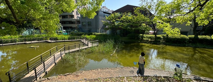 ひょうたん池 is one of アド街ック天国.